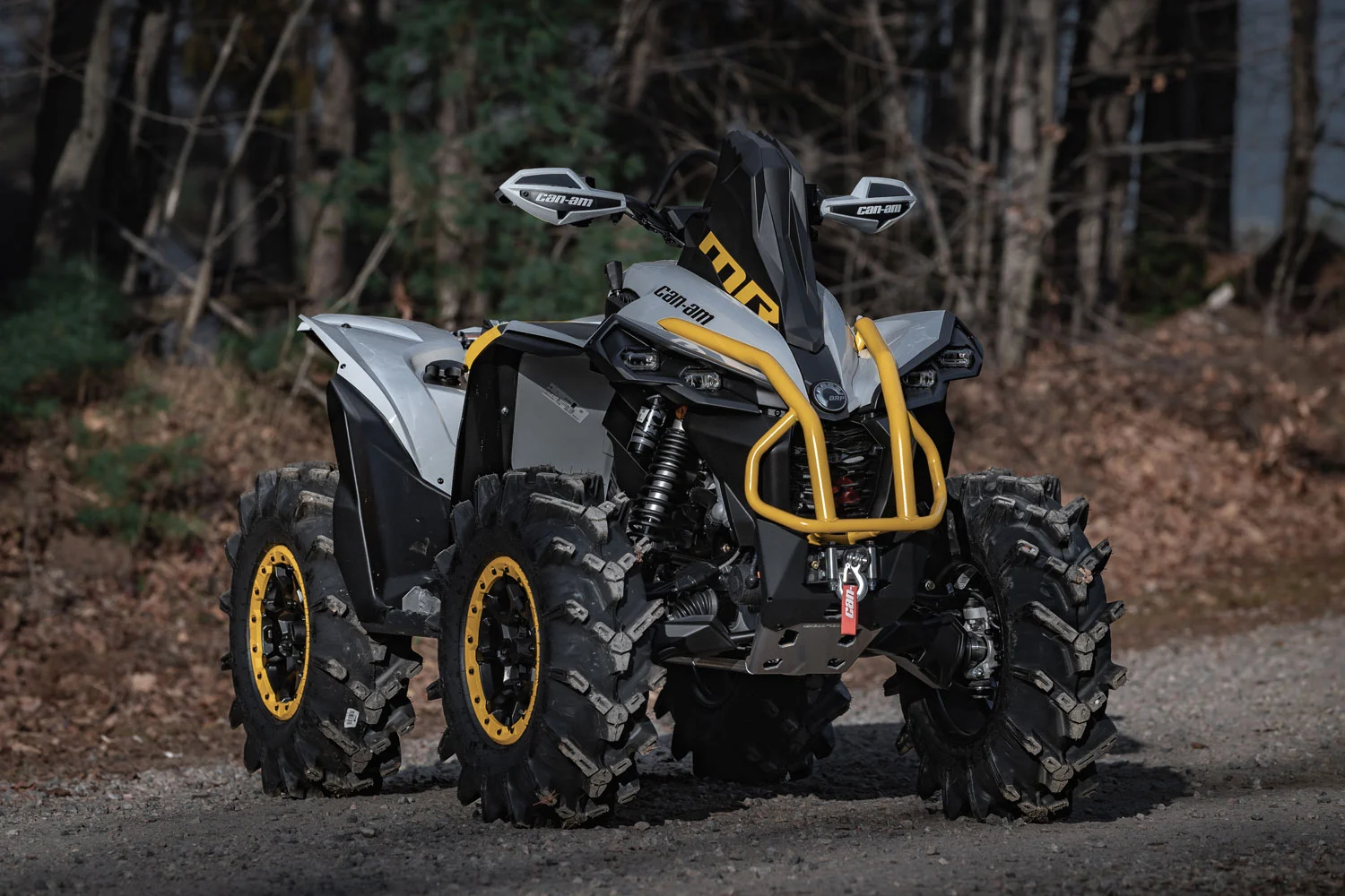 Find the Can-Am Renegade in Modesto, CA.
